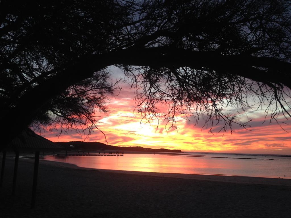 Nautilus Retreat Kalbarri B&B ภายนอก รูปภาพ